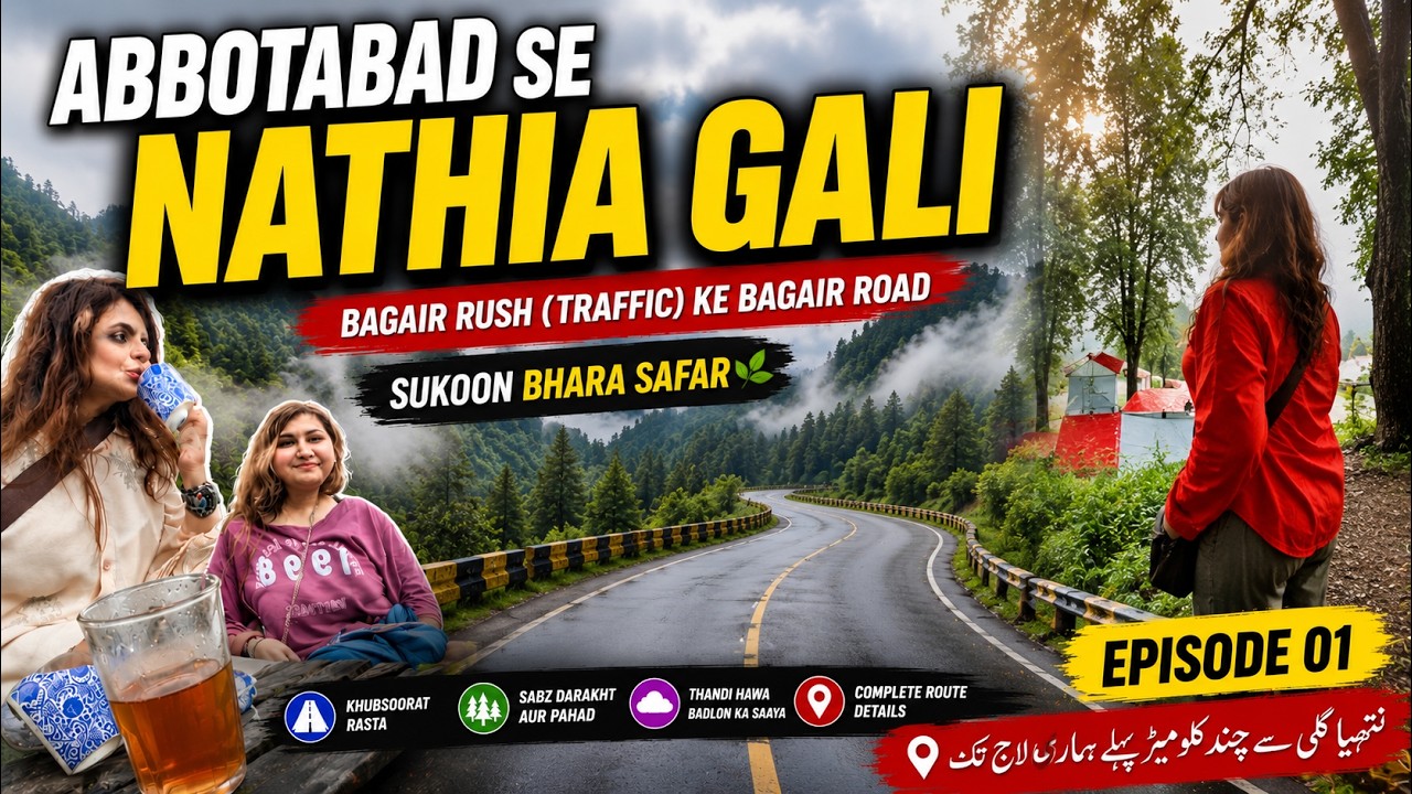 Forget Murree! This Nathia Gali Road Is More Beautiful & Traffic-Free #4kwalkingtour 