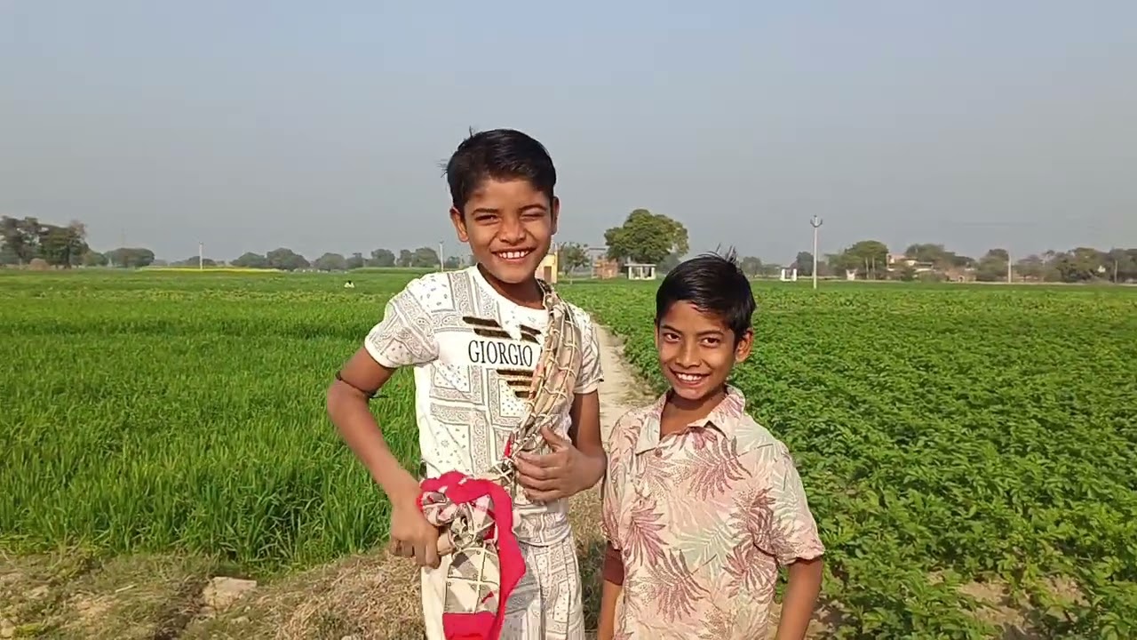 मैं गई थी खेतों में बथुआ कादरी लेने