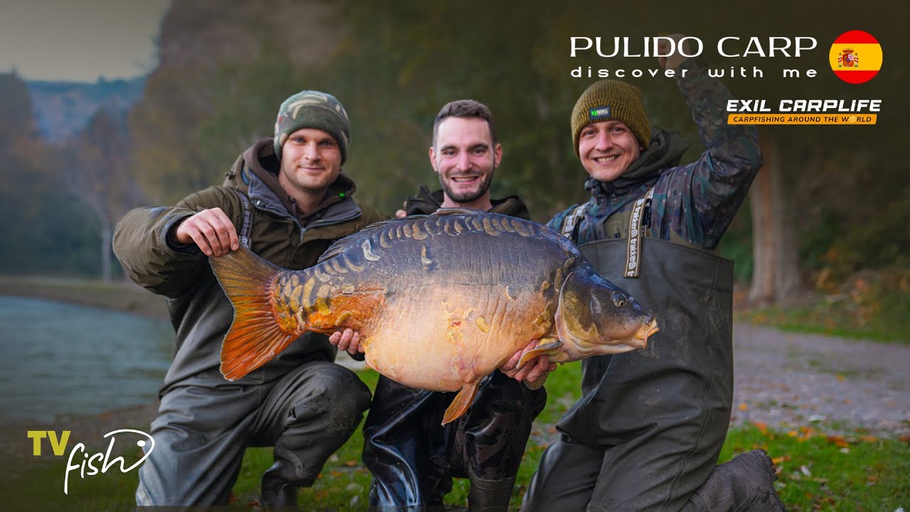 Lov kaprů ve Španělsku s Exil Carplife | Pulido Carp | Carpfishing Espaňa | TV Fish CZ-SK