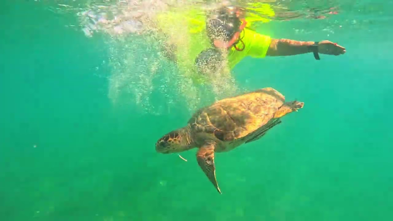 Seasonal Wildlife In Belize