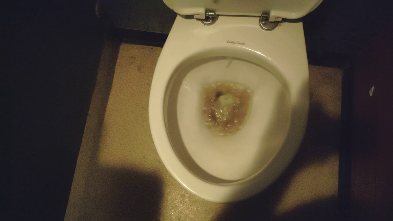 Toilets in the Beach comber Inn Butlins Bognor
