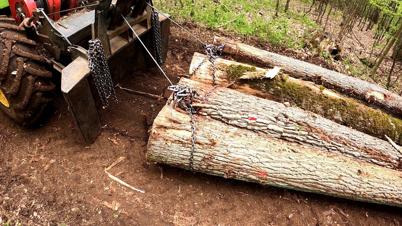 Ťažba hrubých dubov💪, Skidder ORVEX LT 100, Working in forest, GoPro, Stihl ms 462🇸🇰