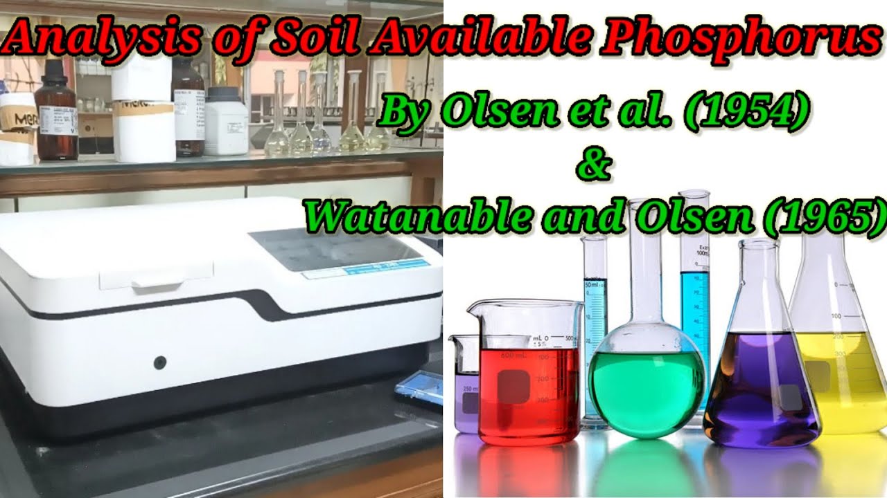 Determination of Available Soil Phosphorus. मिट्टी में फोस्फोरस की जाँच। #Soilavailablephosphorus