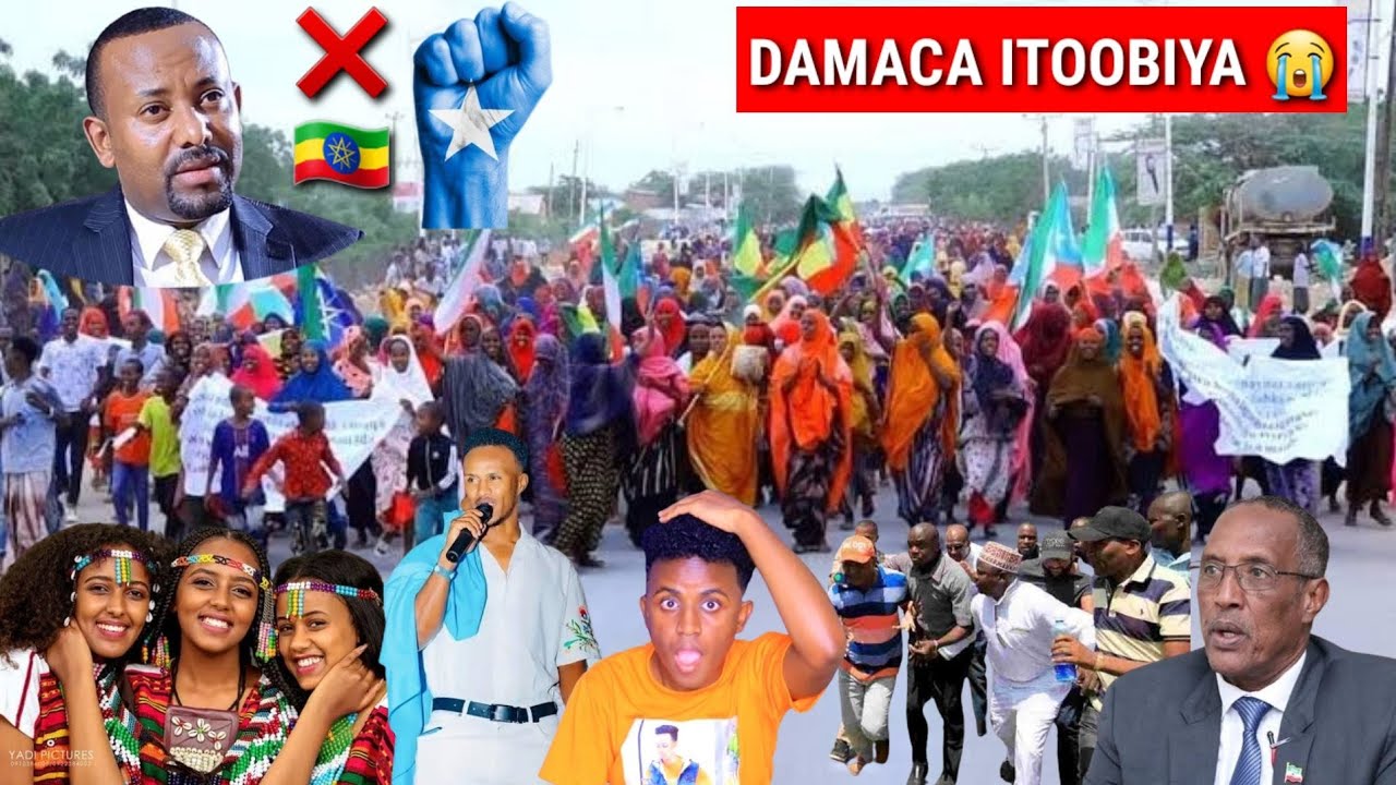 OROMADII OO SHEEGAY INEE LEEYIHIIN HAREGYSA & DADKII OO KACAY