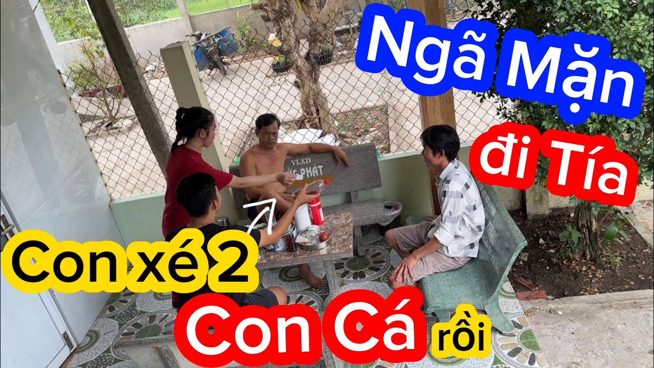 Trời Ơi Coi Như Công Cốc Rồi | TÍA GIÀ vô tình Ngã Mặn khi bị Tạo Báo Chơi Cú Này