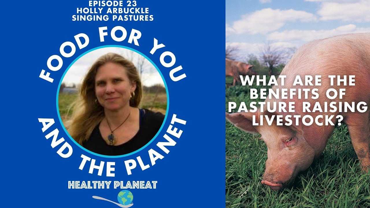 What Are The Benefits of Pasture Raising Livestock?