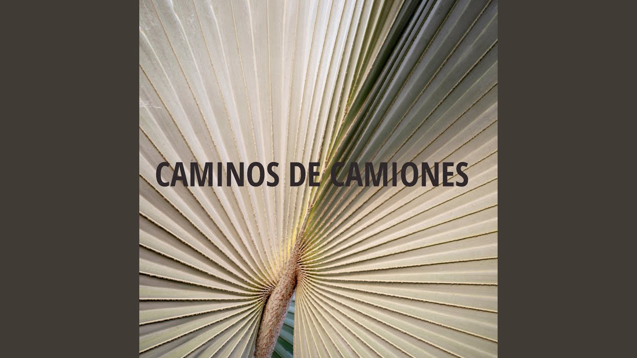 Caminos de camiones