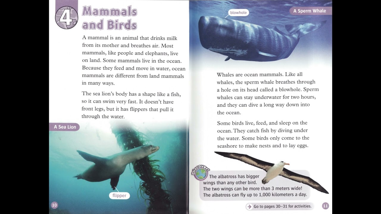 (Oxford RnD - Level 4) All About Ocean Life