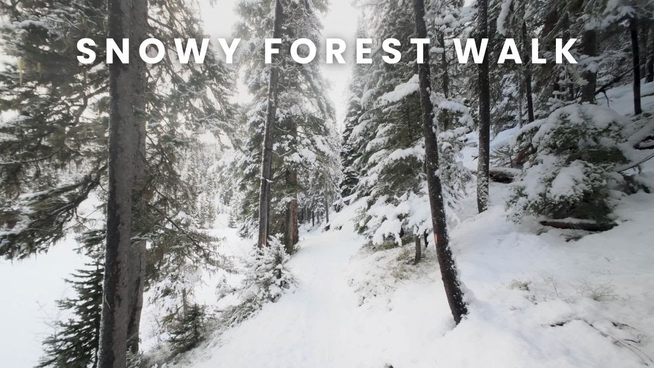 Walking Through a Snowy Mountain Forest | Peaceful Winter Ambience 4K