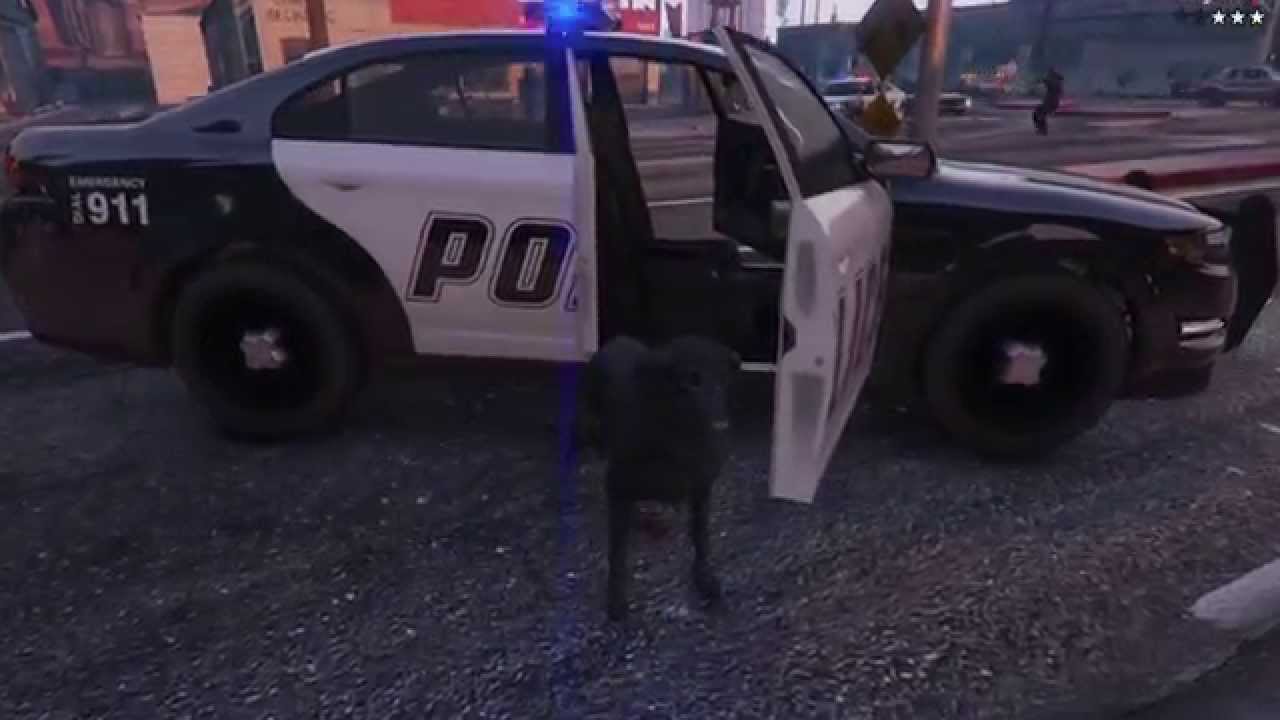 GTA 5 - Play as animal - Chien/Dog 2 (peyote)