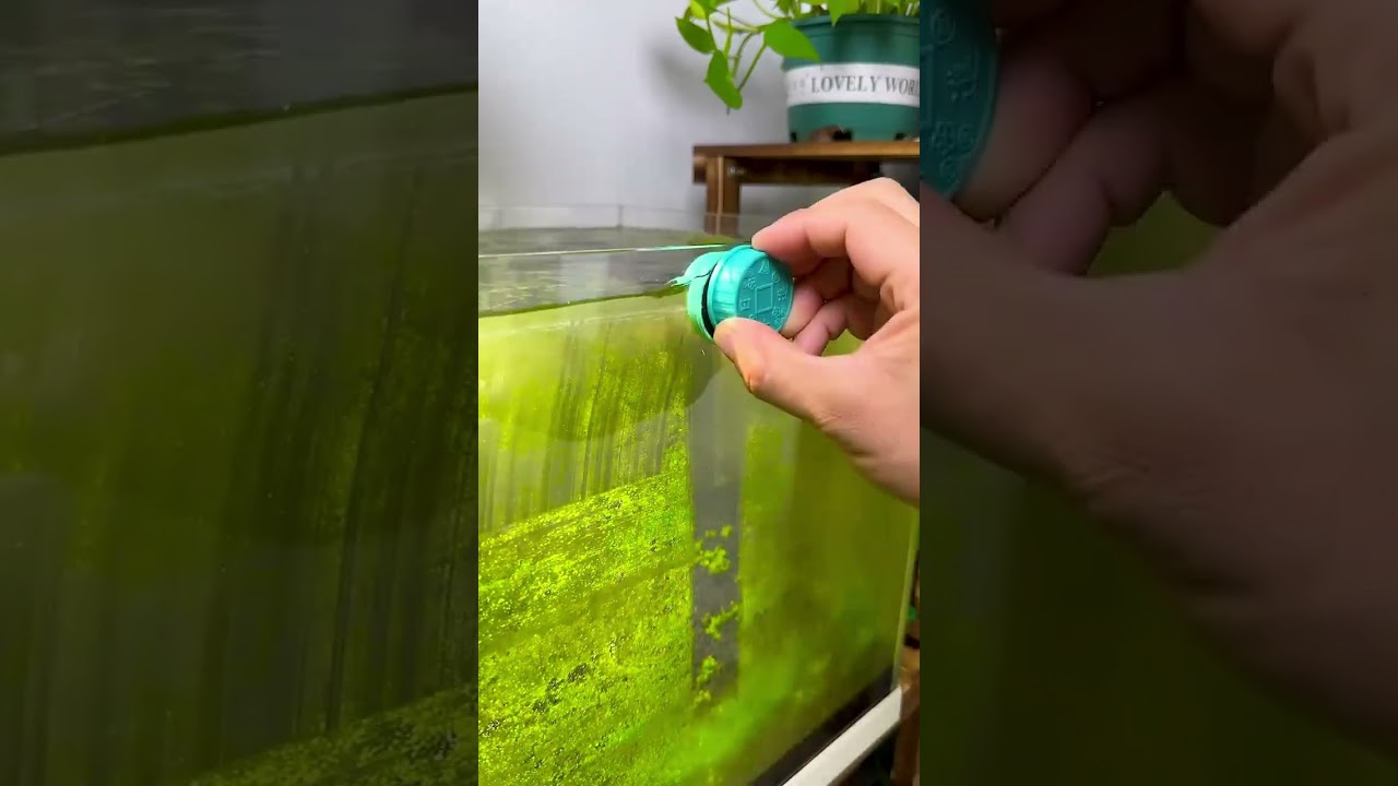 Product Link in Bio ( 136 ) 🚀 Magnetic Mini Fish Tank Cleaner