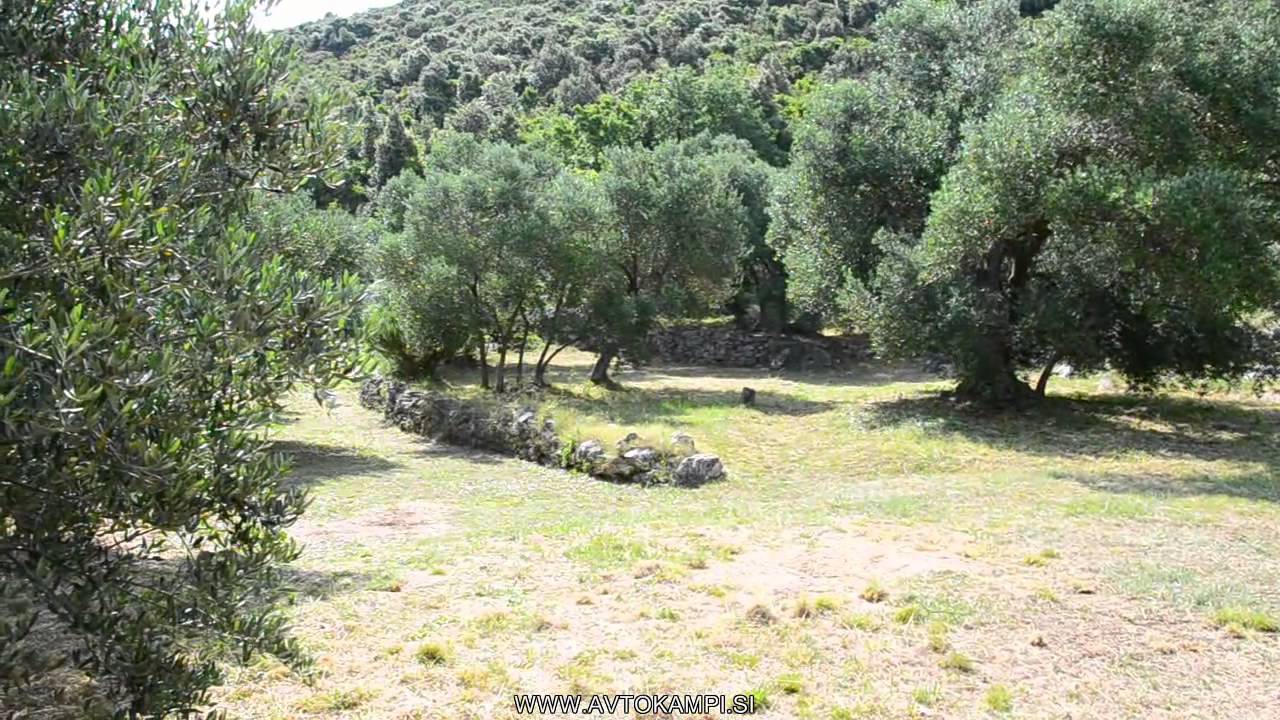 Camp site Oskorusica - island Korcula