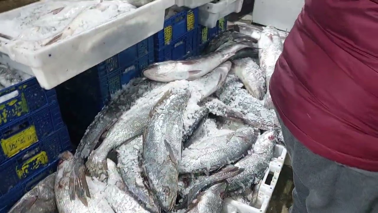 مرحبا بالجميع ليوم 15/02/26 خير مجود سارعوا للاستفادة 0691463136