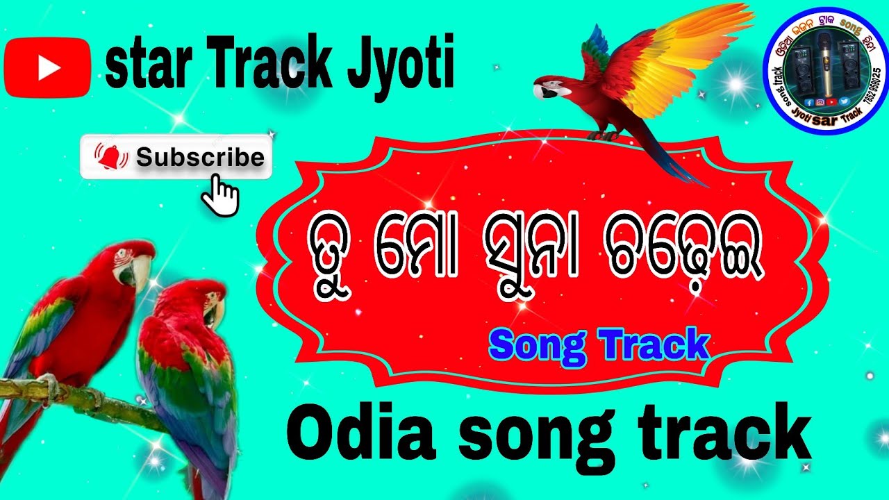 Odia song track Suna Chadhei // ସୁନା ଚଢେଇ // star track jyoti 