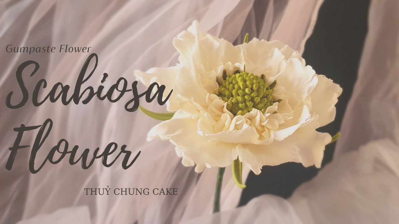 HOA SCABIOSA bằng GUMPASTE  KHÔNG KẼM & TỪ NHỮNG CUTTER QUEN THUỘC #gumpasteflowers #scabiosaflower