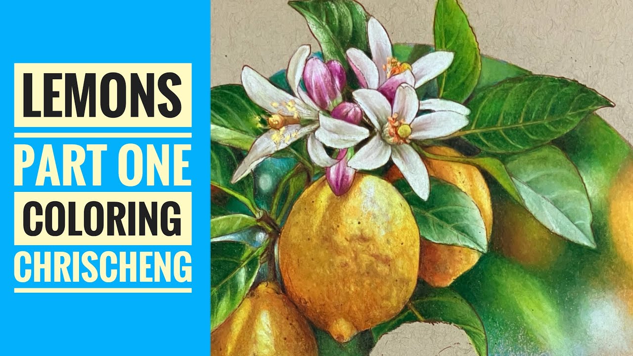 LEMONS Coloring - Part 1 | From 