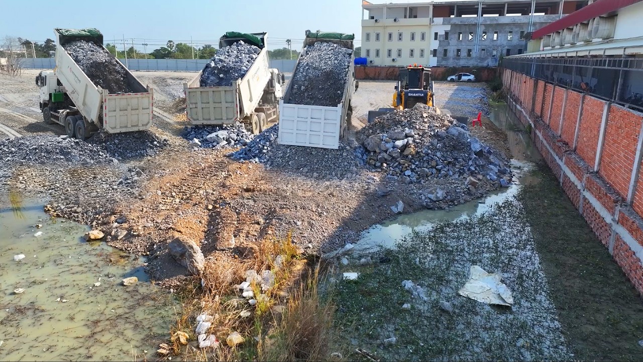 Great Skill !! Bulldozer SHANTUI C3 Push Stone Into Water With Dump Trucks25 TON Unloading Stone