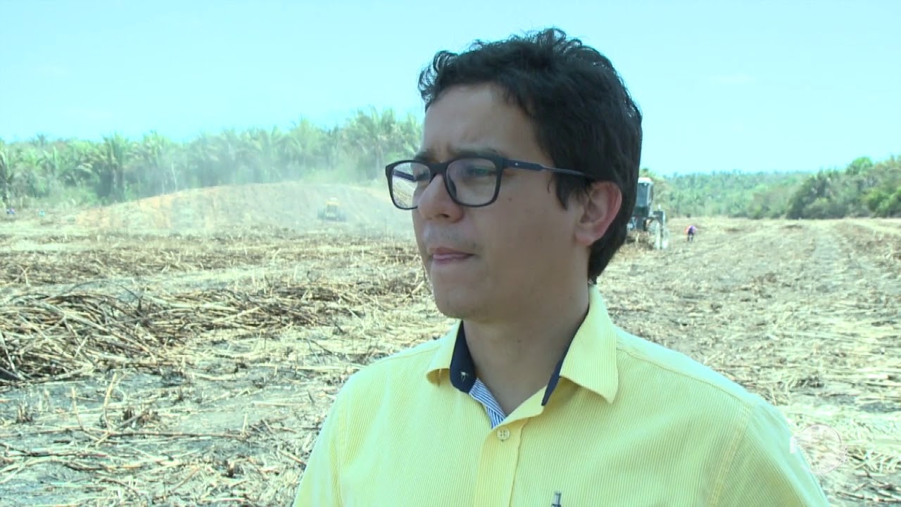 Piauí colhe safra recorde de cana de açúcar