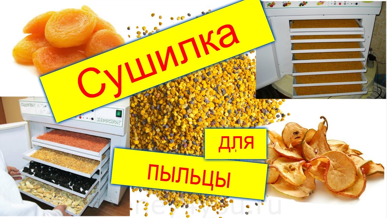 Сушилка для пыльцы & Сушилка для овощей, фруктов, ягод, рыбы, трав