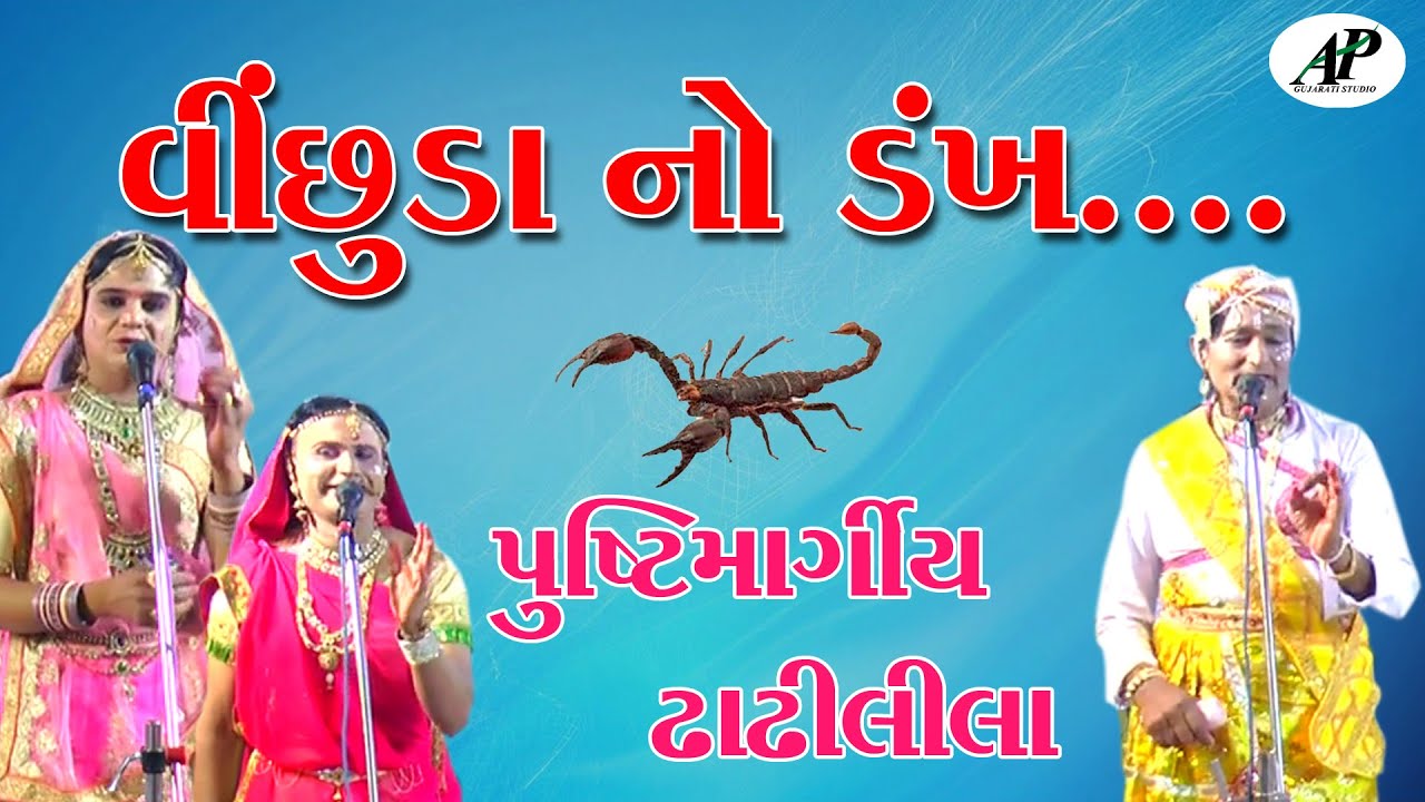 પુષ્ટિમાર્ગીય ઢાઢીલીલા || વીંછુડા નો ડંખ || AP Gujrati Studio