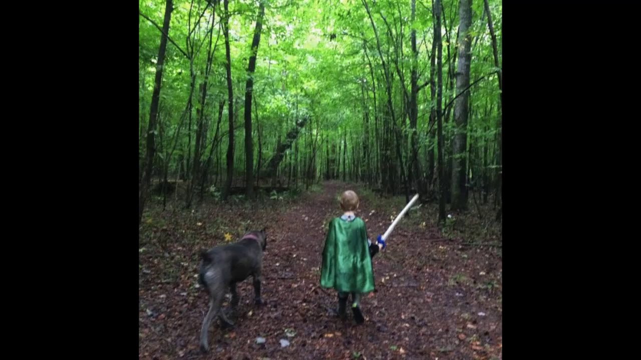 Padfoot - Rawood, Last Summer
