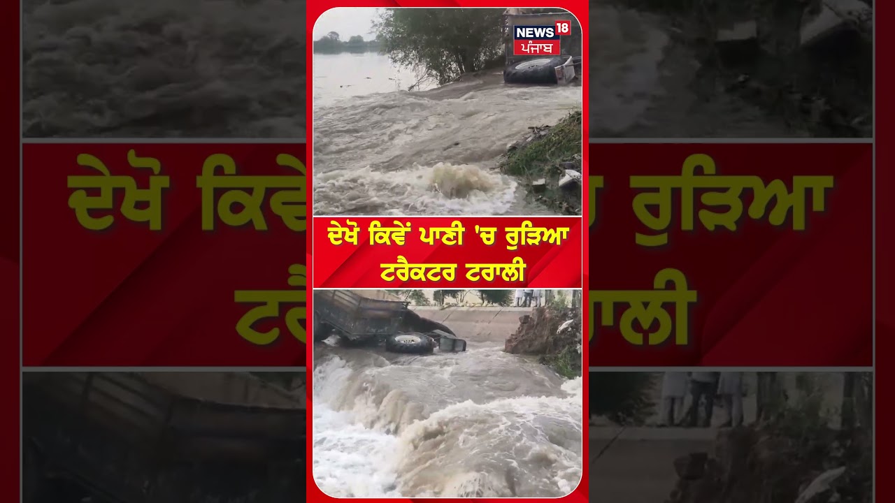 ਦੇਖੋ ਕਿਵੇਂ ਪਾਣੀ 'ਚ ਰੁੜਿਆ ਟਰੈਕਟਰ ਟਰਾਲੀ |#shorts |N18s