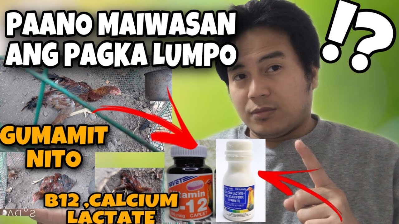 PAANO MAIWASAN ANG PAGKA LUMPO NG ATING SHAMO AT ASEL ?
PAINOMIN NG B-12 at CALCIUM LACTATE