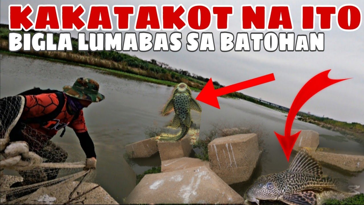 Kakatakot Na Itim Na Nilalang,Biglaan Sya Lumabas Sa Flood Control May Ganito Pala Nanirahan dito