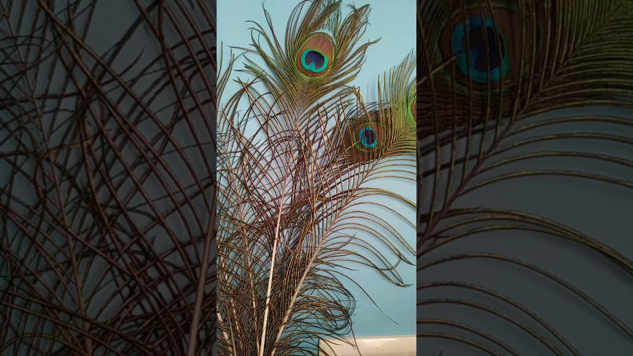 ಸಾಮಾಜಿಕ ಜಾಲತಾಣಗಳ ಅನುಕೂಲ ಮತ್ತು ಅನಾನುಕೂಲಗಳು