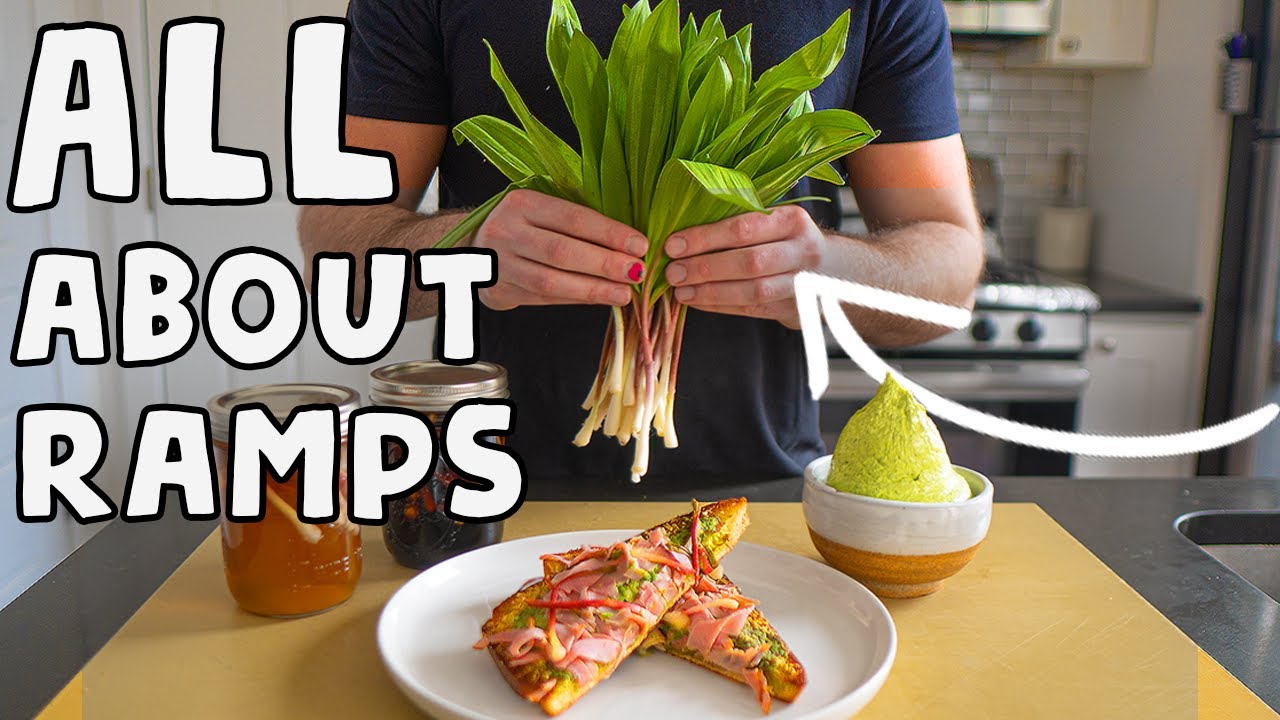 Ramps EXPLAINED! (Wild Onions)