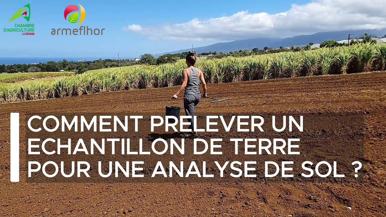 Comment pr&eacute;lever un &eacute;chantillon de terre pour une analyse de sol? - 2023