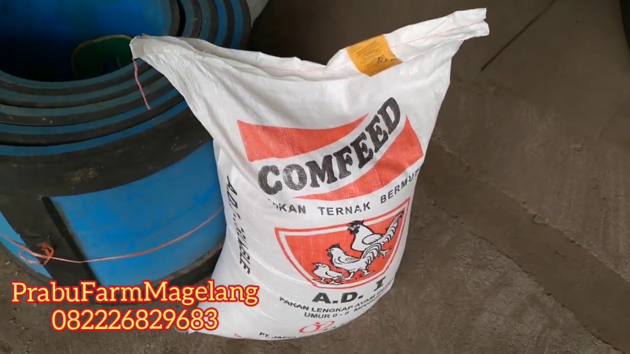 HATI-HATI...PAKAN AYAM PALSU dengan iming-iming harga lebih murah