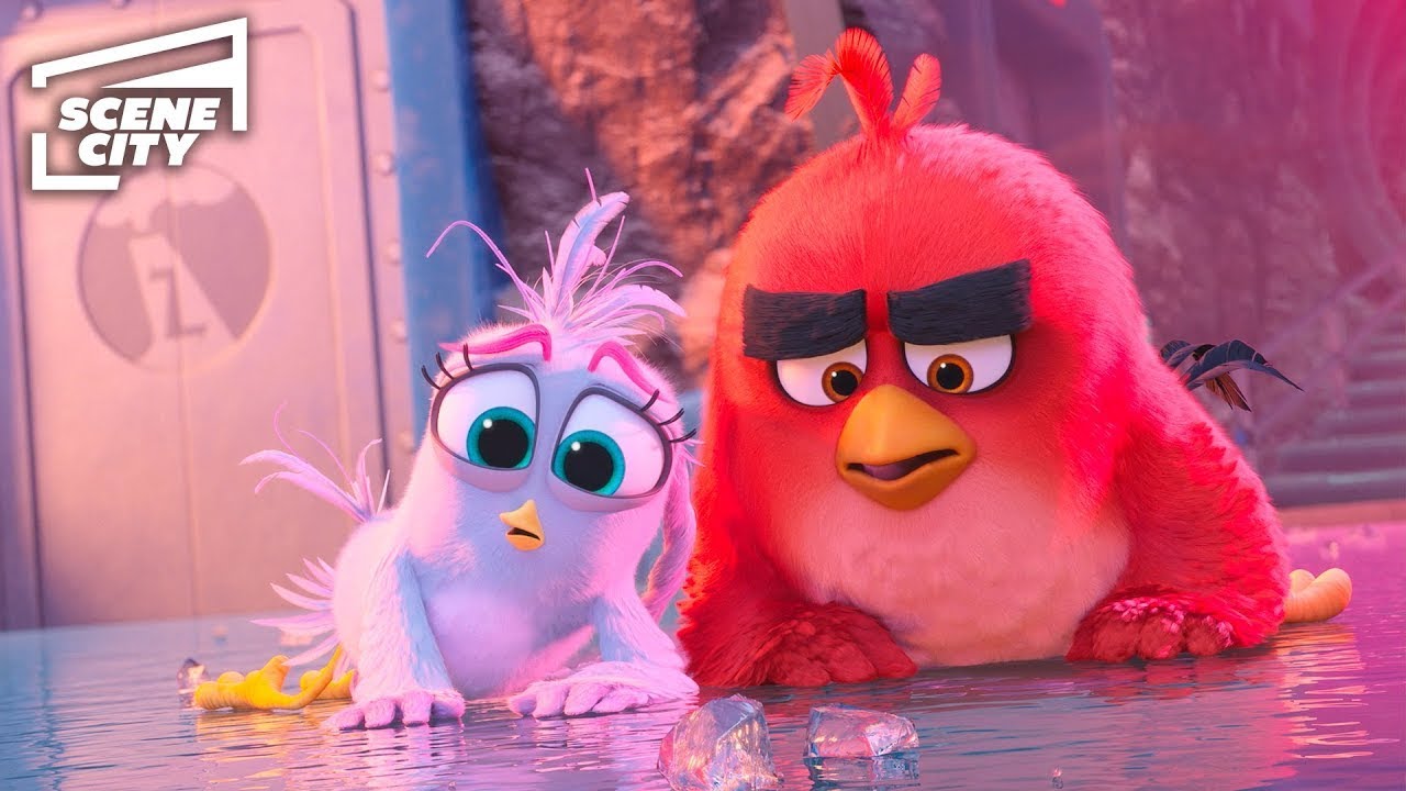 Angry Birds 2 - La Película: ¿El Plan de Silver para Detener a Zeta Falla? (Jason Sudeikis)