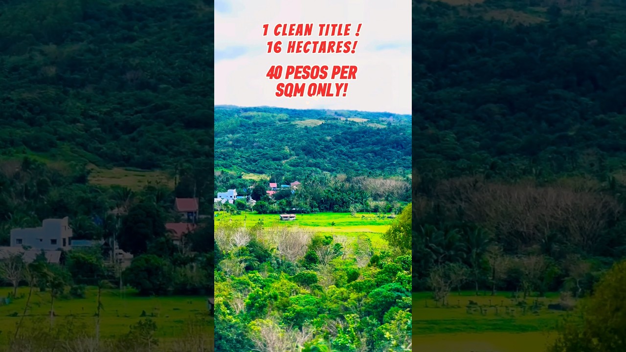 40 PER SQM ONLY I FULL VIDEO @ PROPERTY # 97  #cheaphugelots