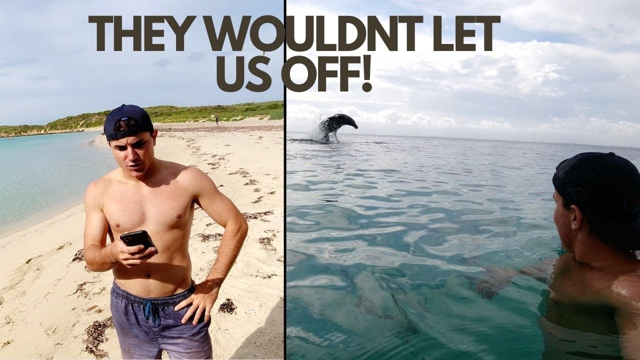 STRANDED ON AN ISLAND WITH AGGRESSIVE SEALS, Q+A