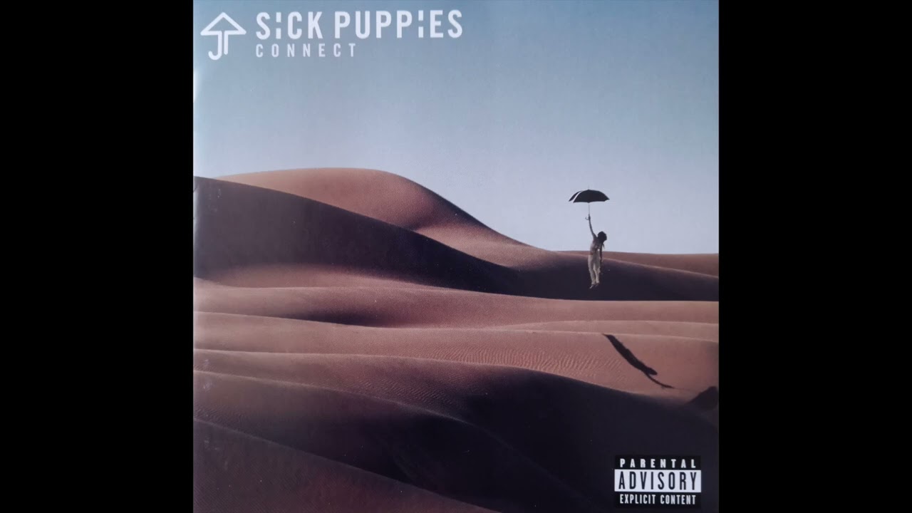 Where Did The Time Go by Sick Puppies from Connect.