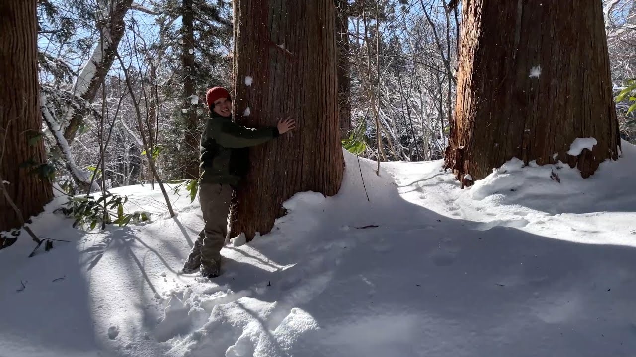 【雪景色】戸隠神社周辺をあさんぽ