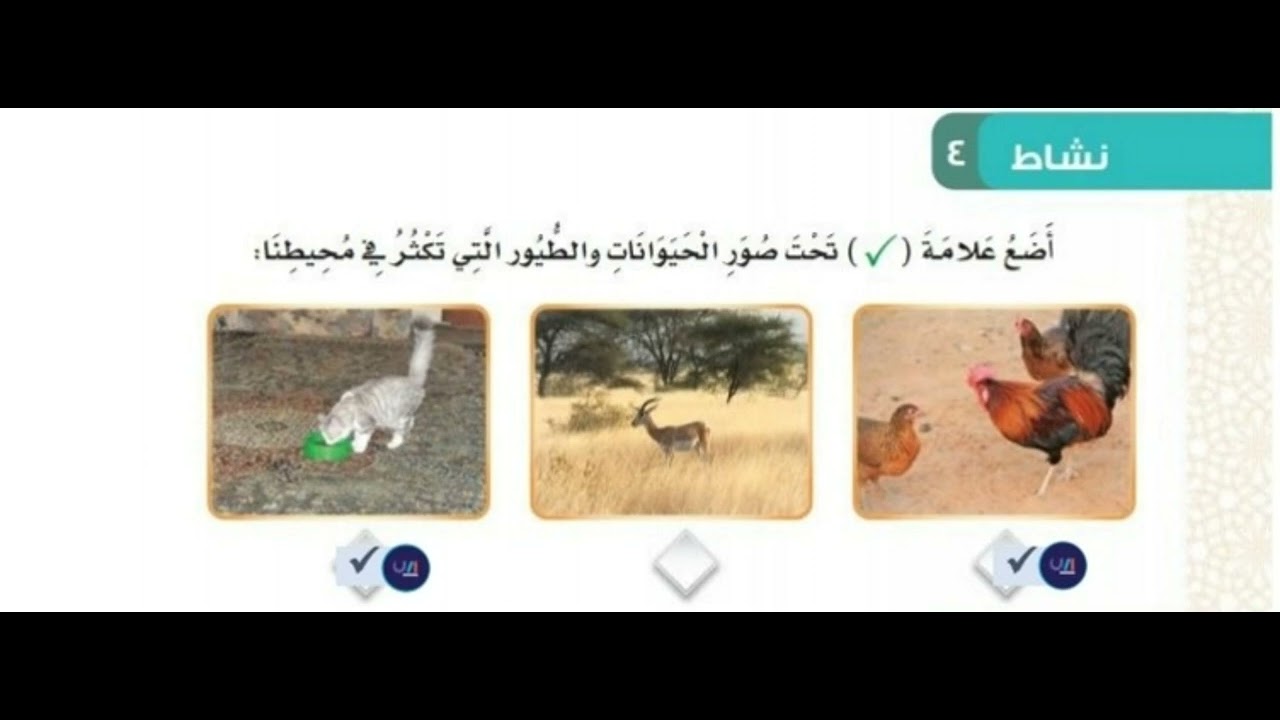 أختار الإجابة الصحيحة الفكرة العامة التي يدور حولها النص
