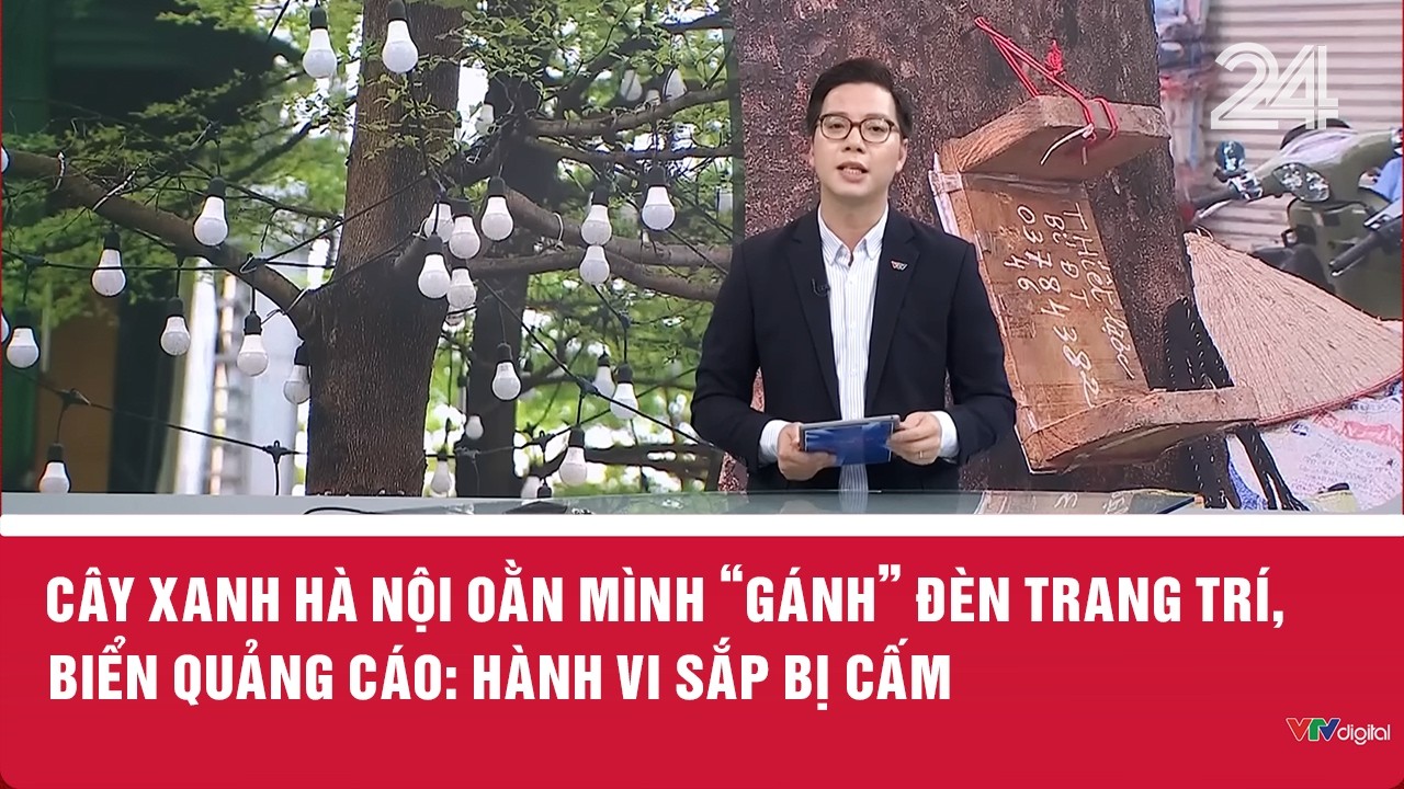 Cây xanh Hà Nội oằn mình ‘gánh’ đèn trang trí, biển quảng cáo: Hành vi sắp bị cấm | VTV24