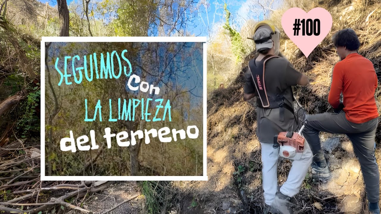 #100 | DESBROZANDO el bosque-barranco, el arroyo a toda potencia y un NUEVO ARBOL