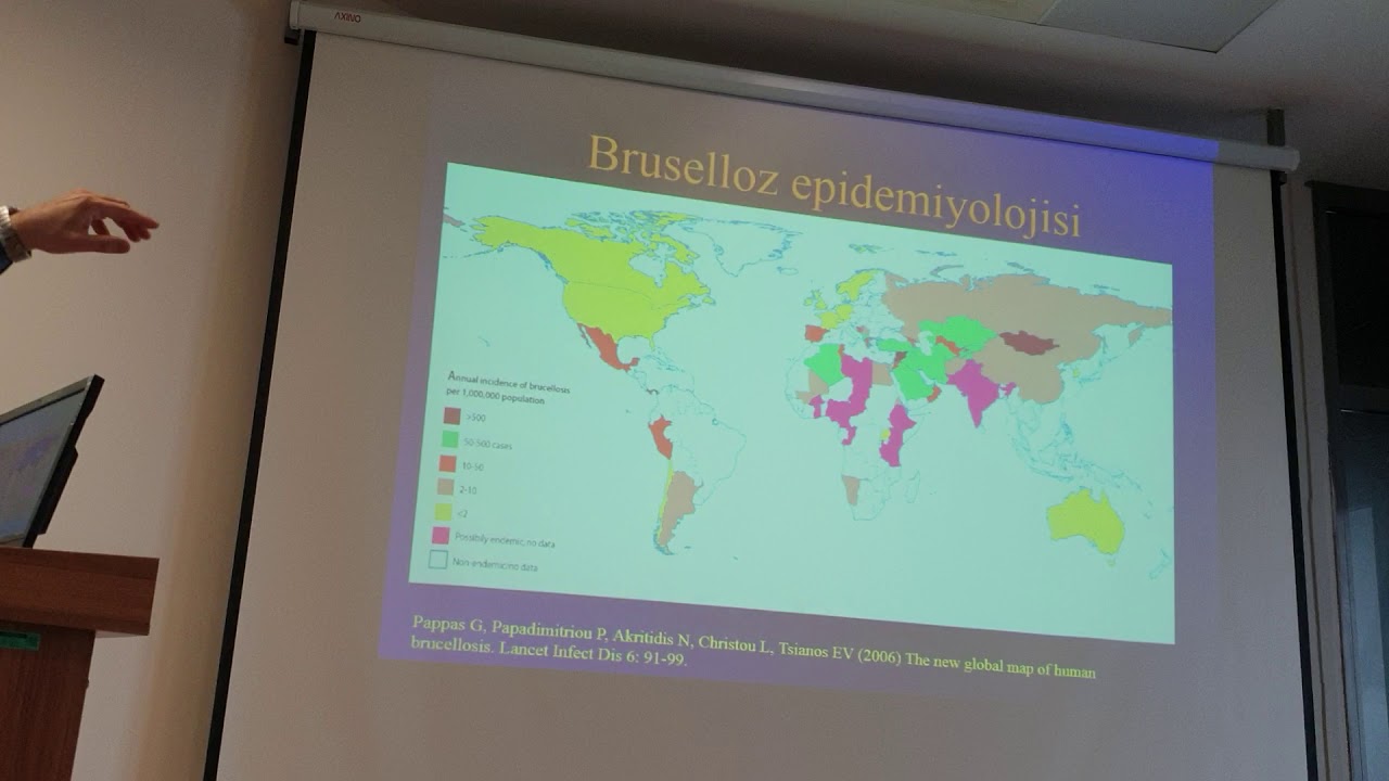 BRUSELLOZ