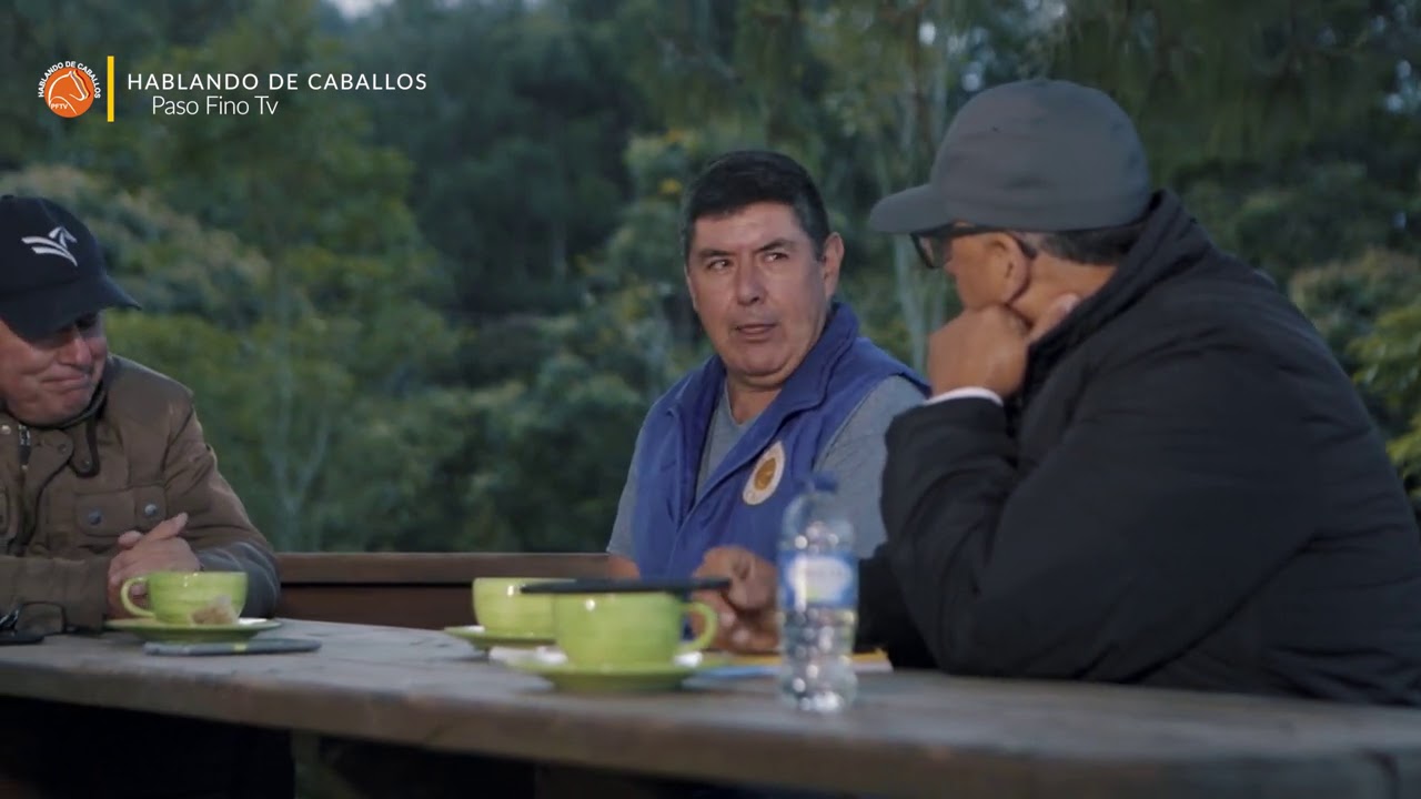 Criadero  Potrero Chico En Hablando de Caballos - Paso Fino Tv