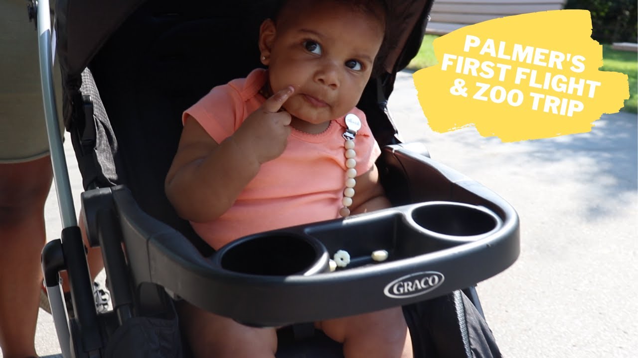 Baby Takes Her First Flight and Trip To Zoo | Family Travel Vlog