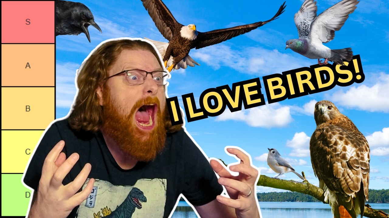 Ranking the BEST Birds