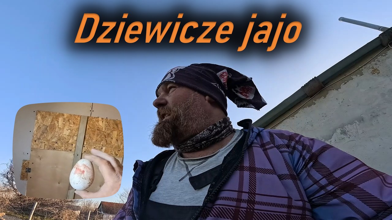 Dziewicze jajo - U Polaka na Krymie dzień kolejny