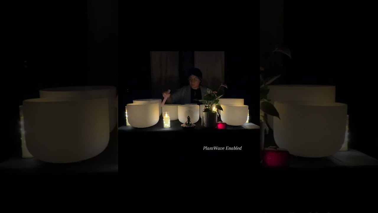 PlantWave x Singing Bowls | Lucy the Anthurium  ​@PlantWave  @norita_harmonicjourney 