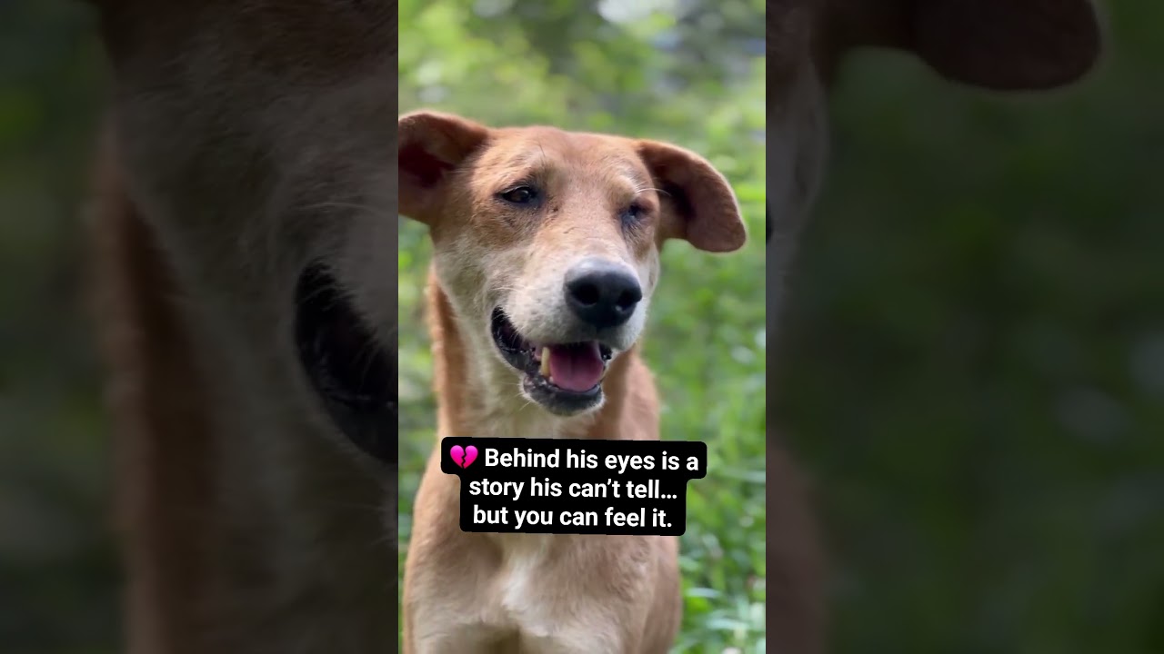 💔 &ldquo;Behind his eyes is a story he can&rsquo;t tell&hellip; but you can feel it. #blindheroine #docuseries