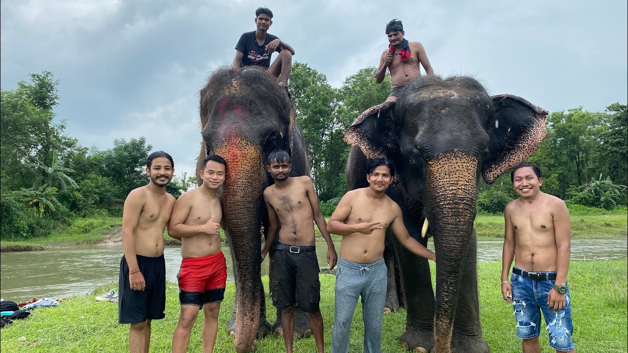 First Elephant bath/swimming /first elephant ride/first vlog/sahura vlog/Chitwan @Madhavsfamily