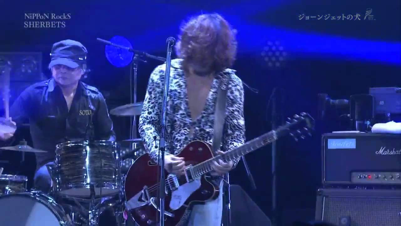 SHERBETS 「ジョーンジェットの犬」