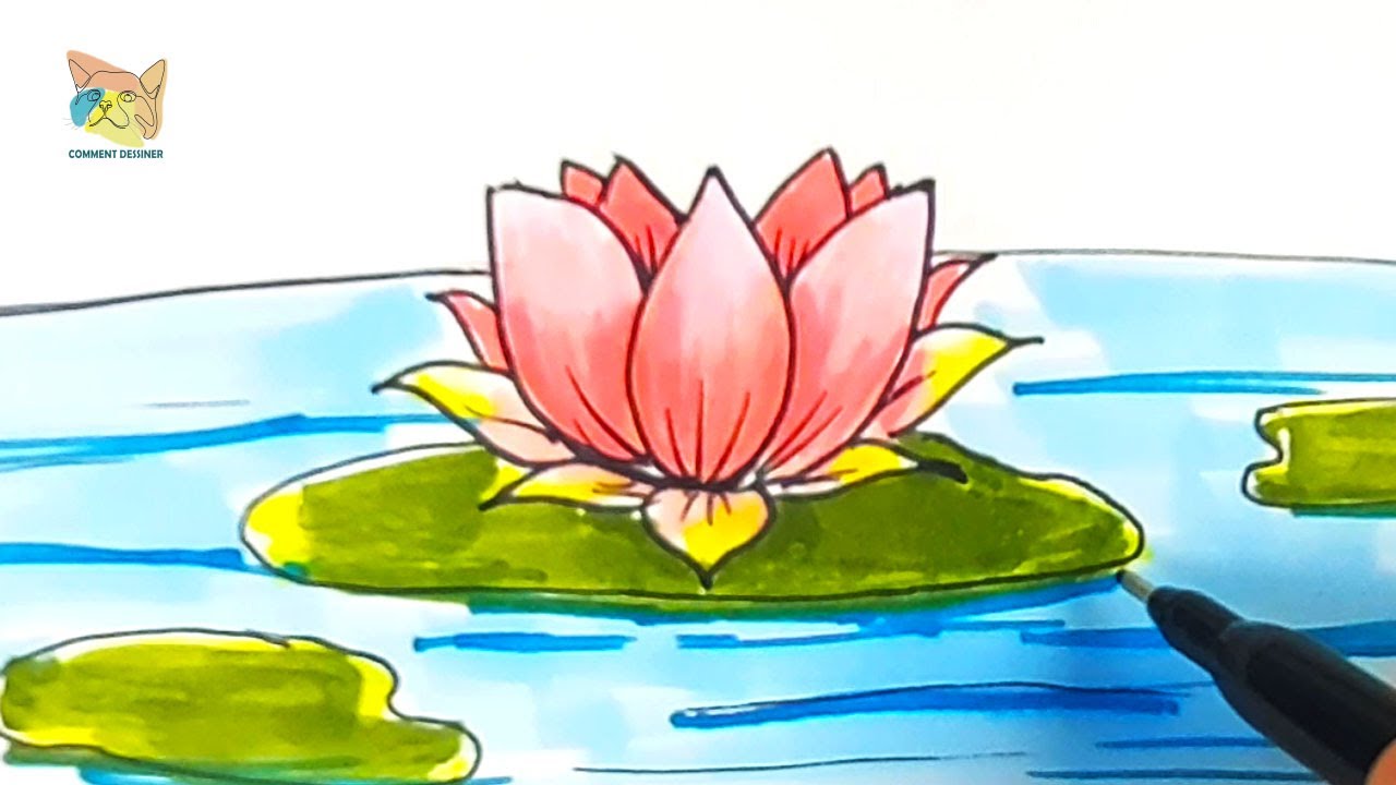 comment dessiner une fleur de n&eacute;nuphar